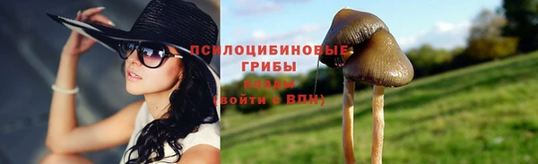 скорость Горняк