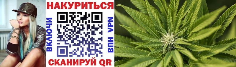 МАРИХУАНА White Widow  Новосокольники 